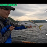 【画像】和歌山県沖に小魚の群れが……！　ふたご兄弟のシーズン初「落とし込み釣り」で大物ゲットなるか？ 〜 画像1