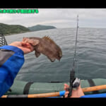 【画像】和歌山県沖に小魚の群れが……！　ふたご兄弟のシーズン初「落とし込み釣り」で大物ゲットなるか？ 〜 画像1