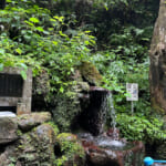 【画像】丹沢湖でSUPを満喫！　信玄館で温泉＆手打ちそばで満腹後の「洒水の滝」を愛でる旅がおすすめ 〜 画像1