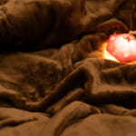 【画像】親子4人でゆったり入れる特大寝袋！　家族みんなで仲良くぬくぬくと眠れる冬用シュラフ 〜 画像1