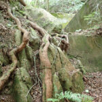 【画像】六甲山北面の忘れられし谷道「船坂谷」！　謎めいた岩や名瀑を経て「石宝殿」を目指す 〜 画像1