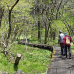 【画像】それって遭難の第一歩かも？　「自分のペースでゆっくり行くから先に行ってて……！」は危険の兆候 〜 画像1