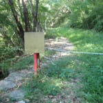 【画像】山の中になぜ島が……!?　六甲山のマイナールート「鬼ヶ島」で巨木のマザーツリーに出会う 〜 画像1