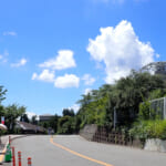 【画像】かつてはあった道が消失しアクセス困難！　忘れ去られし謎のスポット「仙人窟」を探索 〜 画像1