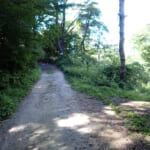 【画像】かつてはあった道が消失しアクセス困難！　忘れ去られし謎のスポット「仙人窟」を探索 〜 画像1