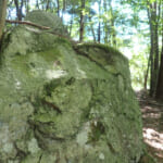 【画像】かつてはあった道が消失しアクセス困難！　忘れ去られし謎のスポット「仙人窟」を探索 〜 画像1