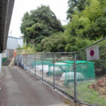 【画像】おいそれとはたどり着けない？　開発から取り残された里山にある隠れ名所「白川の夫婦岩」を探索 〜 画像1