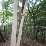 【画像】おいそれとはたどり着けない？　開発から取り残された里山にある隠れ名所「白川の夫婦岩」を探索 〜 画像1
