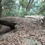 【画像】おいそれとはたどり着けない？　開発から取り残された里山にある隠れ名所「白川の夫婦岩」を探索 〜 画像1