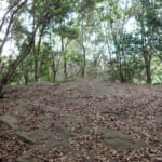 【画像】おいそれとはたどり着けない？　開発から取り残された里山にある隠れ名所「白川の夫婦岩」を探索 〜 画像1