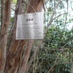 【画像】おいそれとはたどり着けない？　開発から取り残された里山にある隠れ名所「白川の夫婦岩」を探索 〜 画像1