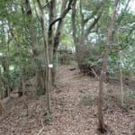 【画像】おいそれとはたどり着けない？　開発から取り残された里山にある隠れ名所「白川の夫婦岩」を探索 〜 画像1