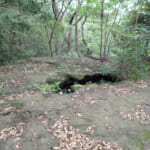 【画像】おいそれとはたどり着けない？　開発から取り残された里山にある隠れ名所「白川の夫婦岩」を探索 〜 画像1