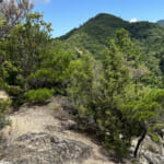 【画像】住宅街のすぐ裏手にある絶景低山「高丸山」！　ローカル鉄道から石仏とプチアルプス感を楽しんで有馬温泉へ 〜 画像1