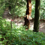 【画像】「槍」と「穂高」をいっぺんに踏破？　六甲山にはほかでは見かけない謎地名がたくさん 〜 画像1