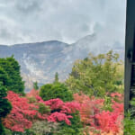 【画像】箱根強羅の紅葉が真っ盛り！　見頃を迎えた箱根美術館「天空の庭園」で真っ赤なモミジを愛でる 〜 画像1