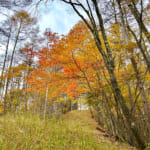 【画像】キレイな紅葉と富士山どどーんの絶景が楽しめる！  小楢山ハイクで山ごはんと温泉を満喫 〜 画像1
