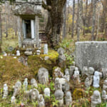 【画像】キレイな紅葉と富士山どどーんの絶景が楽しめる！  小楢山ハイクで山ごはんと温泉を満喫 〜 画像1
