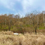 【画像】キレイな紅葉と富士山どどーんの絶景が楽しめる！  小楢山ハイクで山ごはんと温泉を満喫 〜 画像1