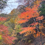 【画像】キレイな紅葉と富士山どどーんの絶景が楽しめる！  小楢山ハイクで山ごはんと温泉を満喫 〜 画像1