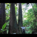 【画像】滝の裏側はまるで異世界だった！　島根の絶景「龍頭ヶ滝」でひんやり癒やし旅がマイナスイオン全開 〜 画像1