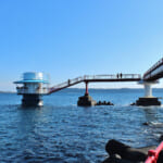 【画像】まるで海の中を散歩しているような体験ができる！　水族館とはひと味違う「海中展望塔」とは 〜 画像1