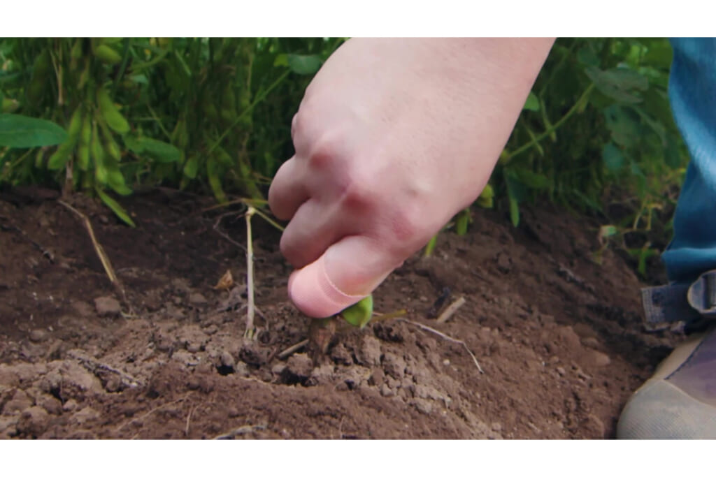 商品／野外で使用