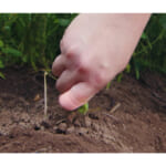 【画像】ハードな作業や水仕事でもはがれにくい！　丈夫で貼り心地快適な絆創膏「ガッチリバン」が最強過ぎる 〜 画像1