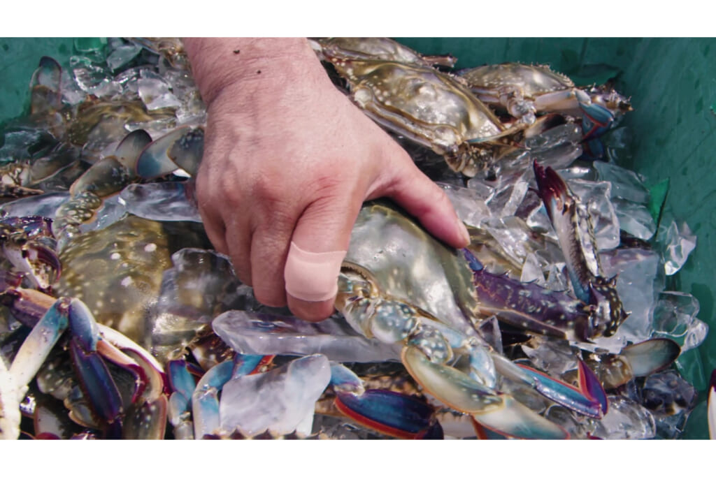 商品／水辺で使用