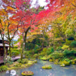 【画像】箱根駅伝で有名な小涌園にほど近い「岡田美術館」の庭園で絶品の紅葉と季節の魚天ぷらうどんに舌鼓 〜 画像1