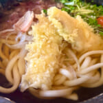 【画像】箱根駅伝で有名な小涌園にほど近い「岡田美術館」の庭園で絶品の紅葉と季節の魚天ぷらうどんに舌鼓 〜 画像1