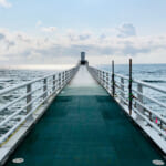 【画像】まるで海の中を散歩しているような体験ができる！　水族館とはひと味違う「海中展望塔」とは 〜 画像1