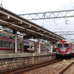 【画像】山の中になぜ島が……!?　六甲山のマイナールート「鬼ヶ島」で巨木のマザーツリーに出会う 〜 画像1