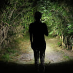 【画像】小さく明るいだけじゃない！「もう一手」を内蔵したチタン製超小型LEDライトがデビュー 〜 画像1