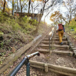 【画像】ヤビツ峠から大山へ！　快晴アオゾラの行楽日和に丹沢の紅葉と山並みを味わう 〜 画像1