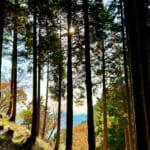 【画像】ヤビツ峠から大山へ！　快晴アオゾラの行楽日和に丹沢の紅葉と山並みを味わう 〜 画像1