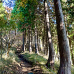 【画像】ヤビツ峠から大山へ！　快晴アオゾラの行楽日和に丹沢の紅葉と山並みを味わう 〜 画像1