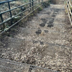 【画像】ヤビツ峠から大山へ！　快晴アオゾラの行楽日和に丹沢の紅葉と山並みを味わう 〜 画像1