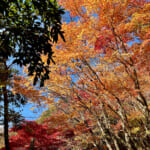 【画像】ヤビツ峠から大山へ！　快晴アオゾラの行楽日和に丹沢の紅葉と山並みを味わう 〜 画像1