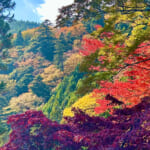 【画像】ヤビツ峠から大山へ！　快晴アオゾラの行楽日和に丹沢の紅葉と山並みを味わう 〜 画像1