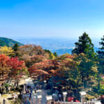 【画像】ヤビツ峠から大山へ！　快晴アオゾラの行楽日和に丹沢の紅葉と山並みを味わう 〜 画像1