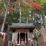 【画像】ヤビツ峠から大山へ！　快晴アオゾラの行楽日和に丹沢の紅葉と山並みを味わう 〜 画像1