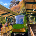 【画像】ヤビツ峠から大山へ！　快晴アオゾラの行楽日和に丹沢の紅葉と山並みを味わう 〜 画像1