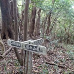 【画像】海峡を2つ越え標高290mで絶景の「眉山」へ！　知る人ぞ知る徳島うどんも味わう日帰りグルメ山旅 〜 画像1