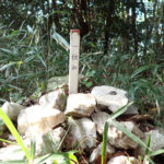 【画像】海峡を2つ越え標高290mで絶景の「眉山」へ！　知る人ぞ知る徳島うどんも味わう日帰りグルメ山旅 〜 画像1