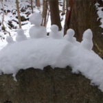 【画像】スノーハイク初心者が知るべき「安全のルール」とは　「雪崩リスク」の境界線といち押しの入門山「入笠山」 〜 画像1