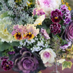 ハボタン寄せ植え