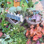 【画像】寒い冬から春に大活躍！　寄せ植えにも最適なリーフプランツ5選 〜 画像1