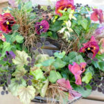 【画像】寒い冬から春に大活躍！　寄せ植えにも最適なリーフプランツ5選 〜 画像1