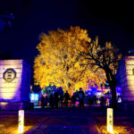 【画像】箱根駅伝で知られる神奈川県藤沢市の遊行寺で開山700年を祝うライトアップが艶麗でした 〜 画像1